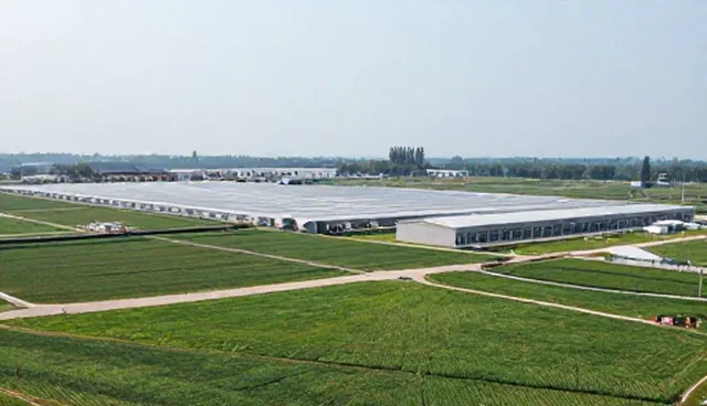 本地企业资源在供应链管理中的应用趋势分析